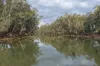 39 Teddys Lane, Barham NSW 2732-Image