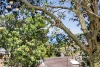 39 Terence Street, Ulladulla, NSW 2539-Image