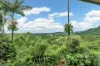 39 Thistle Road, Maadi, Qld 4855-Image