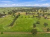 39 Tremain Drive, North Yeoval, NSW 2868-Image