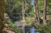 39 Urliup Rd, Bilambil, NSW 2486-Image