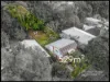 39 Woodville Place, Annerley, Qld 4103-Image