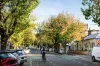390 Napier Street, Fitzroy, Vic 3065-Image
