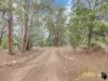 390 Orchard Road, Wooroloo, WA 6558-Image