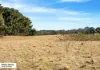 390A The Esplanade, St Leonards, Vic 3223-Image