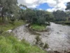 391 Joyces Road, Monegeetta, Vic 3433-Image