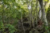 392-428 Perwillowen Road, Perwillowen, Qld 4560-Image