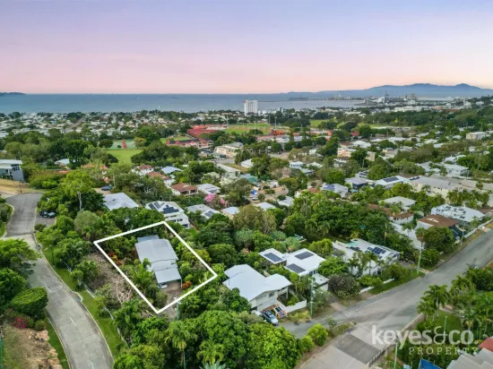 393 Stanley Street, North Ward, Qld 4810