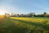 393 Tarra Valley Road, Devon North, Vic 3971-Image