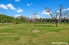 393 Tarra Valley Road, Devon North, Vic 3971-Image