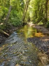 394 Wahpunga Lane, Kin Kin, Qld 4571-Image