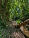 394 Wahpunga Lane, Kin Kin, Qld 4571-Image