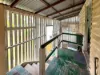 396 Rhodes Street, Koongal, Qld 4701-Image