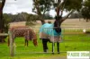 396 Sullivans Road, Millbrook, Vic 3352-Image