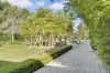 39A Bethesda Road, Lewiston, SA 5501-Image