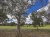 39B Hayes Avenue, Yokine, WA 6060-Image