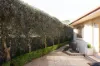 39B Legge Street, Downer, ACT 2602-Image