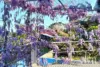 3A Darling Street, White Gum Valley, WA 6162-Image