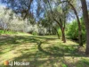 3a Denman Avenue, Kootingal, NSW 2352-Image