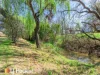 3a Denman Avenue, Kootingal, NSW 2352-Image