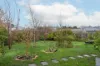 3A Edward Street, Perth, Tas 7300-Image