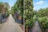 3A Margaret Street, Ryde, NSW 2112-Image