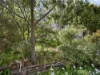 3A Pink Street, Violet Town, Vic 3669-Image
