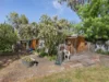 3A Pink Street, Violet Town, Vic 3669-Image