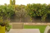 3B Johnson Road, Maylands, WA 6051-Image