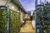 4/1 Waterside Drive, Dudley Park, WA 6210-Image