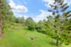 4/199 Lamington National Park Road, Canungra QLD 4275-Image