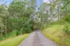 4/199 Lamington National Park Road, Canungra QLD 4275-Image
