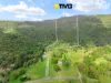 4/199 Lamington National Park Road, Canungra QLD 4275-Image