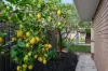 4/2 Cross Street, Fullarton, SA 5063-Image