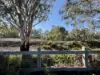4/2 Horner Street, Cobram, Vic 3644-Image