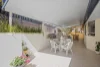 4-6 Martins Drive, Kuluin, Qld 4558-Image