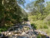 4/652 Maleny-Montville Road, Balmoral Ridge, Qld 4552-Image
