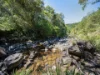 4/652 Maleny-Montville Road, Balmoral Ridge, Qld 4552-Image