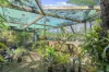 4  Adam Court, Alexandra Hills, Qld 4161-Image