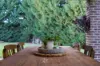4 Ajuga court, Buronga, NSW 2739-Image