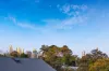 4 Alfred Street, Lilyfield, NSW 2040-Image