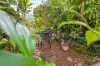 4 Amos Close, Redlynch, Qld 4870-Image
