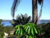 4 Andrea Street, Eden, NSW 2551-Image