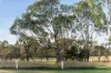 4 Appaloosa Drive, Hindmarsh Valley, SA 5211-Image