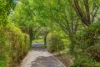 4 Arthur Circle, Forrest, ACT 2603-Image