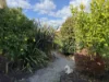4 Besley Street, Bruthen, Vic 3885-Image