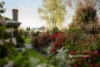 4 Betula Court, Warragul, Vic 3820-Image