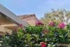 4 Bickley Close, Stirling, ACT 2611-Image