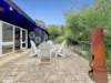 4 Bossie Court, Metung, Vic 3904-Image