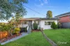 4 Bradman Street, Greystanes, NSW 2145